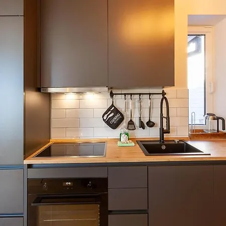 Liftquartier Mit Kamin Und Balkon Apartment *